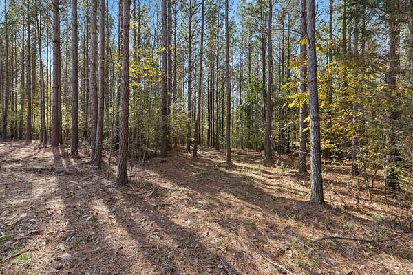 7 Acres of Residential Land for Sale in Shady Grove, Tennessee