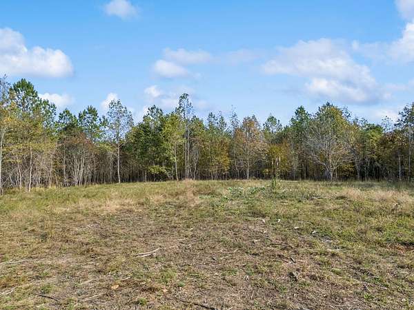 17 Acres of Recreational Land for Sale in Shady Grove, Tennessee