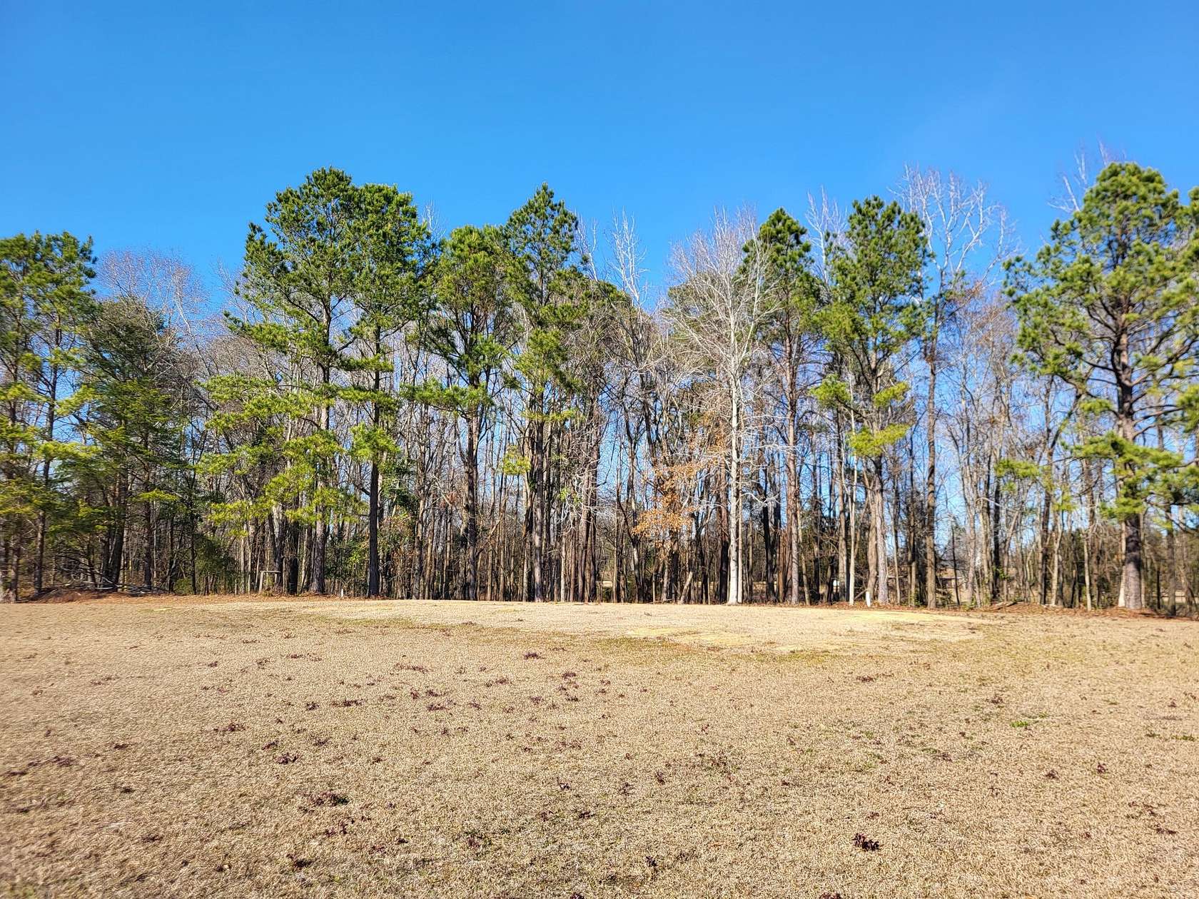 2 Acres of Residential Land for Sale in Santee, South Carolina