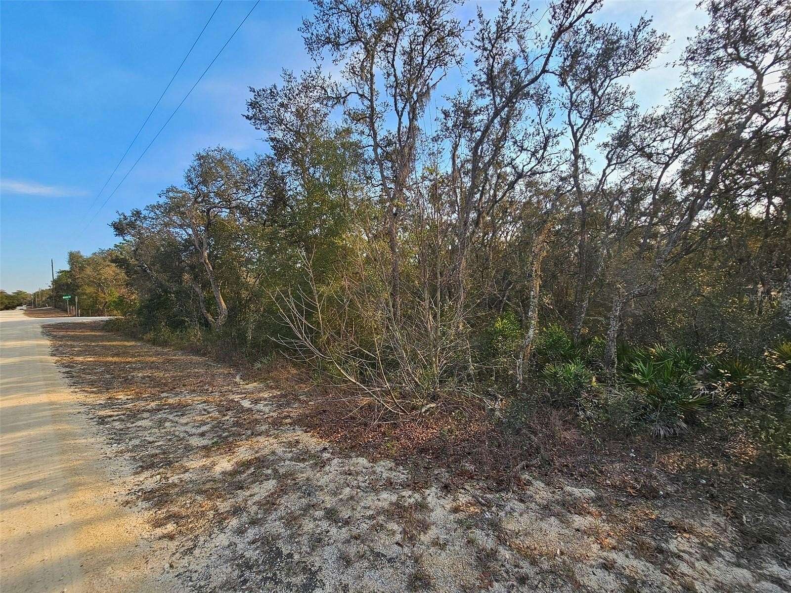 0.71 Acres of Residential Land for Sale in Webster, Florida