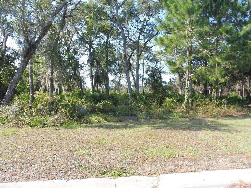 0.23 Acres of Land for Sale in St. Marys, Georgia