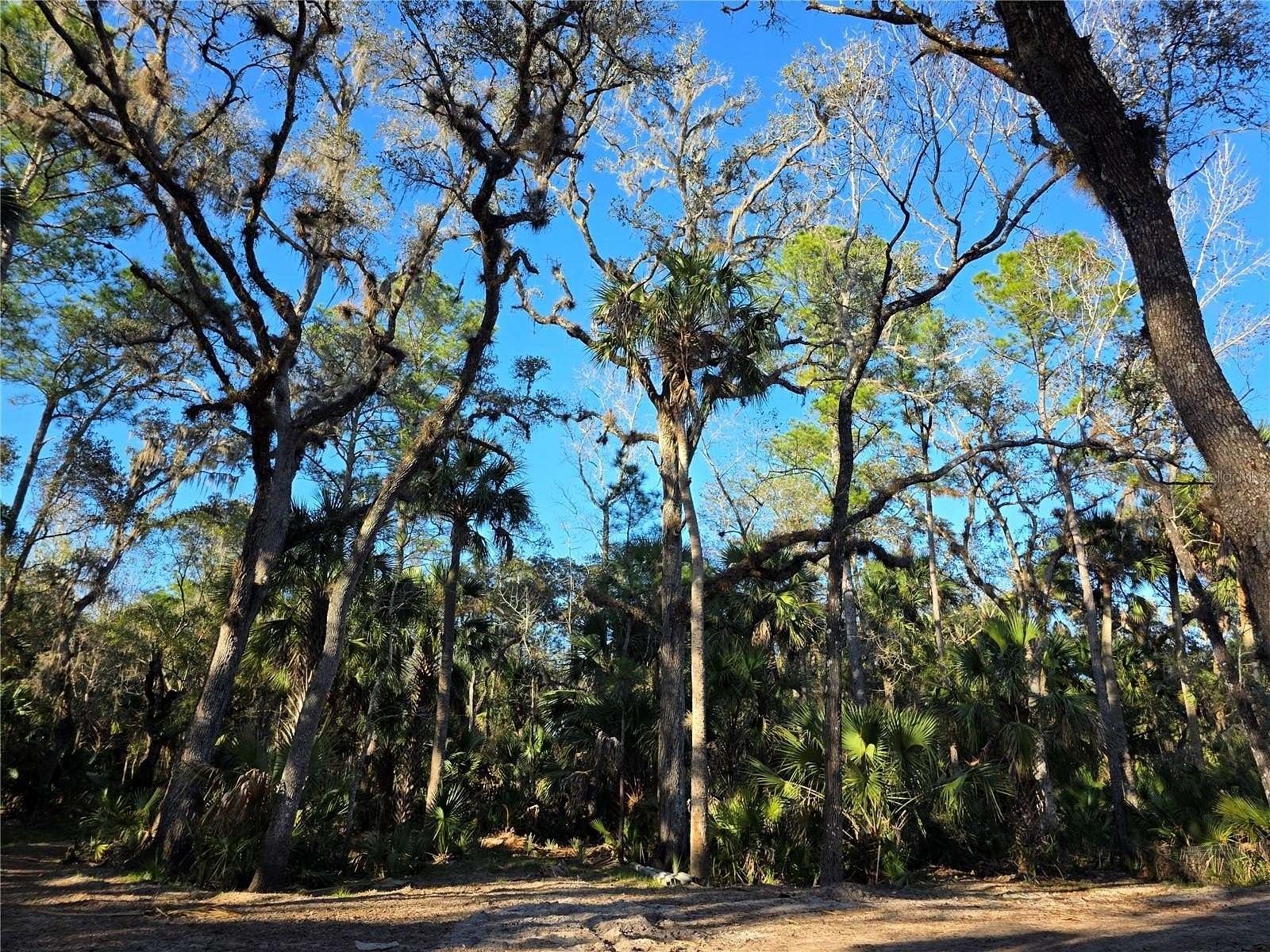 13.3 Acres of Land for Sale in Osteen, Florida