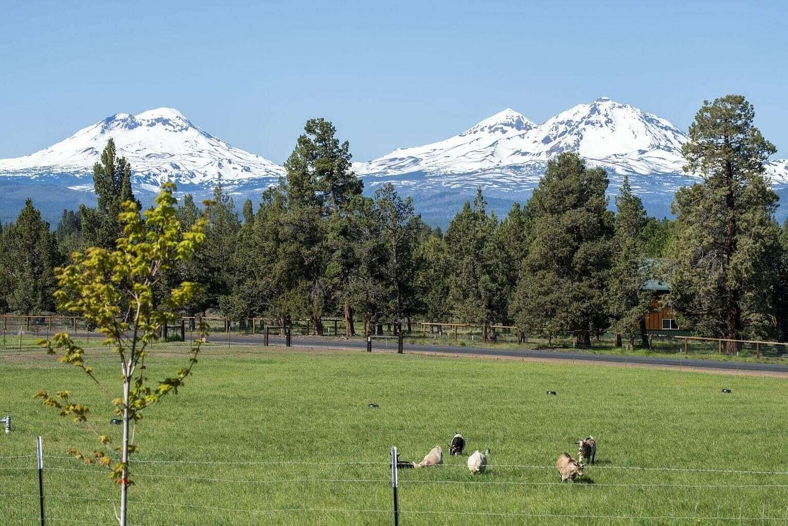 5 Acres of Residential Land with Home for Sale in Sisters, Oregon