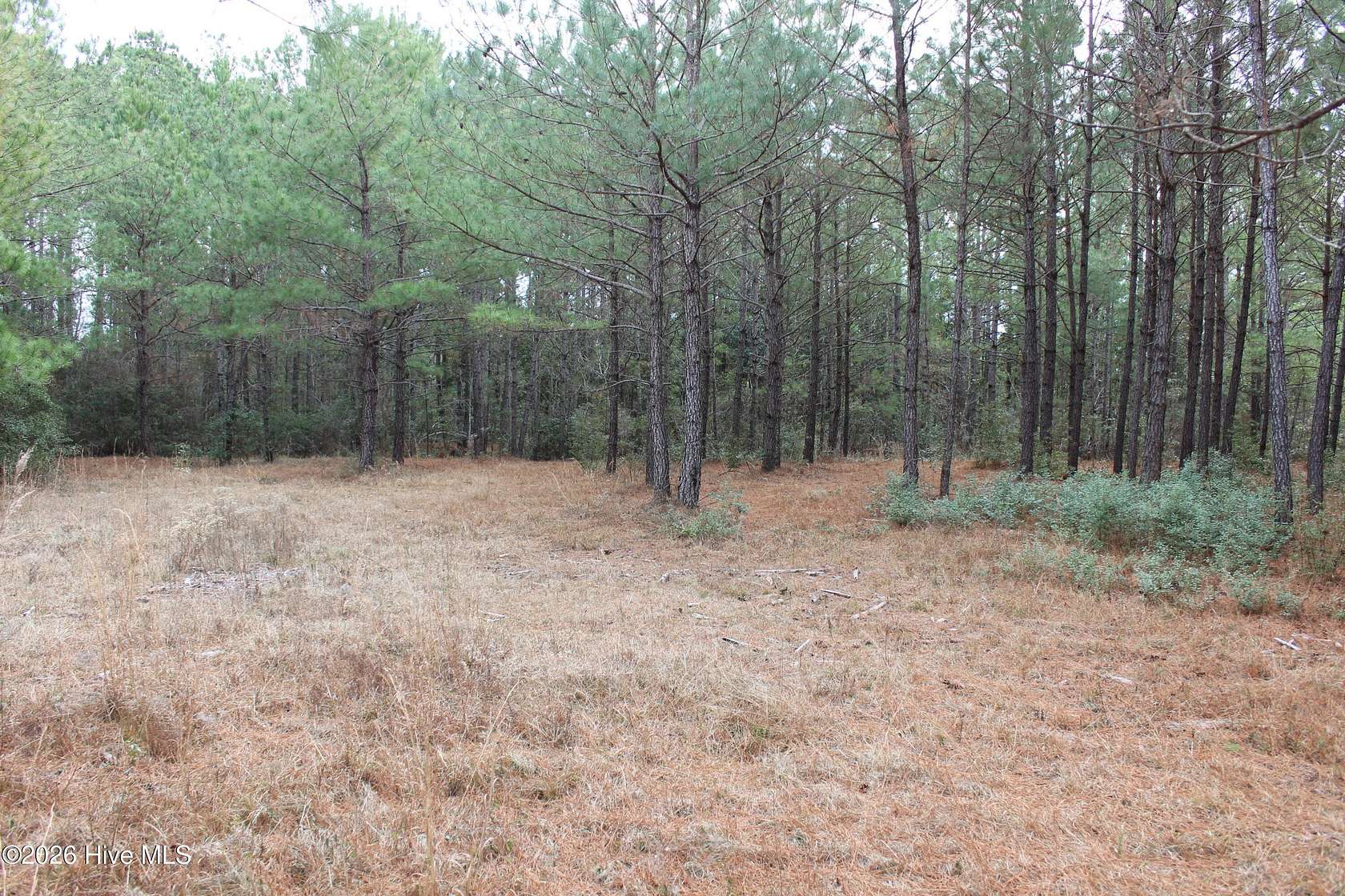 0.54 Acres of Residential Land for Sale in Hampstead, North Carolina