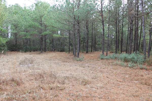 0.54 Acres of Residential Land for Sale in Hampstead, North Carolina