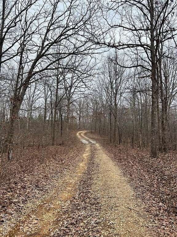 30 Acres of Recreational Land for Sale in Poplar Bluff, Missouri