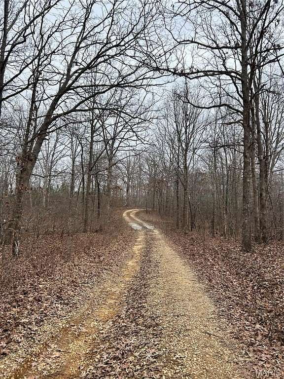 30 Acres of Recreational & Residential Land for Sale in Poplar Bluff, Missouri