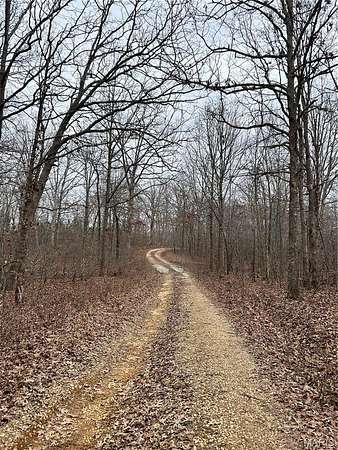 30 Acres of Recreational & Residential Land for Sale in Poplar Bluff, Missouri