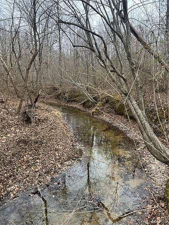 30 Acres of Recreational & Residential Land for Sale in Poplar Bluff, Missouri