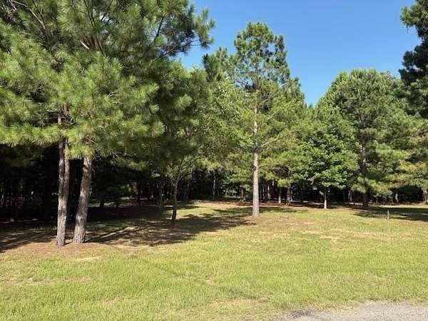 0.45 Acres of Residential Land for Sale in Holly Lake Ranch, Texas
