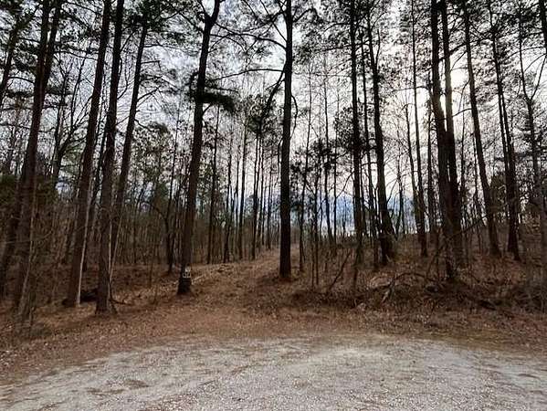 Land for Sale in Hartford, Kentucky