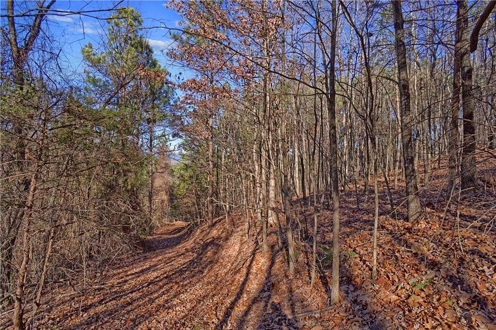 40 Acres of Recreational Land for Sale in Dover, Arkansas