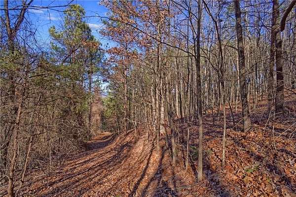40 Acres of Recreational Land for Sale in Dover, Arkansas