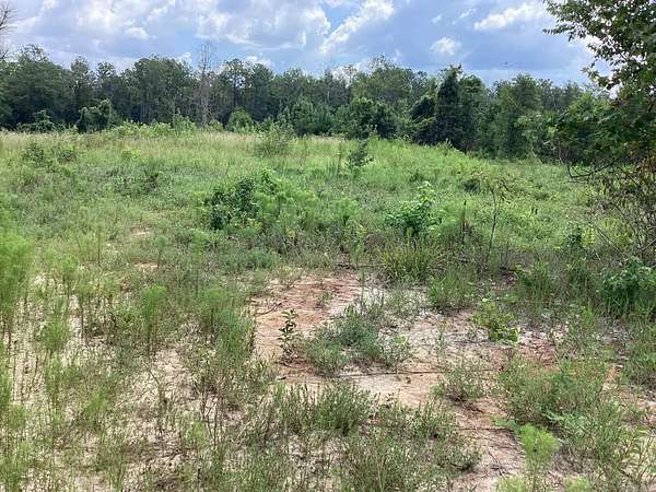 27.8 Acres of Land for Sale in Greenbrier, Arkansas