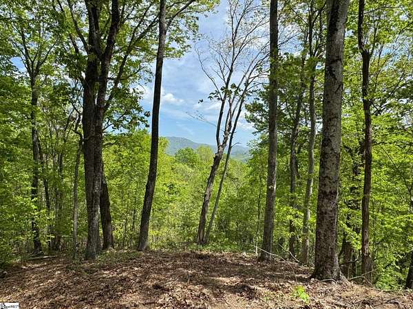 2 Acres of Residential Land for Sale in Marietta, South Carolina