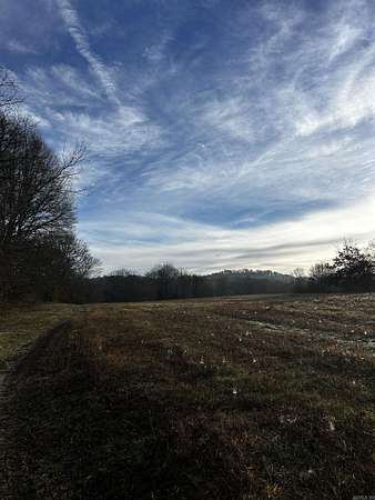 14 Acres of Land for Sale in Oden, Arkansas