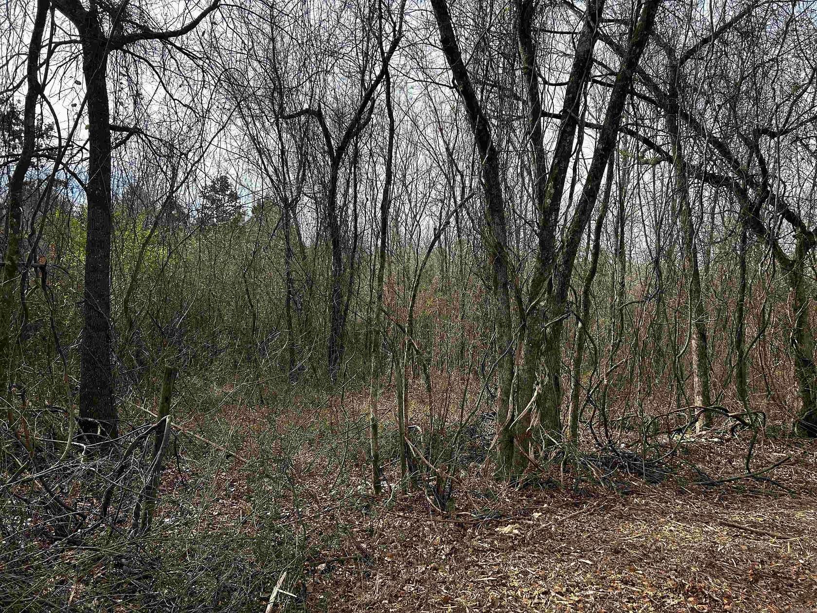 7.5 Acres of Residential Land for Sale in Oden, Arkansas