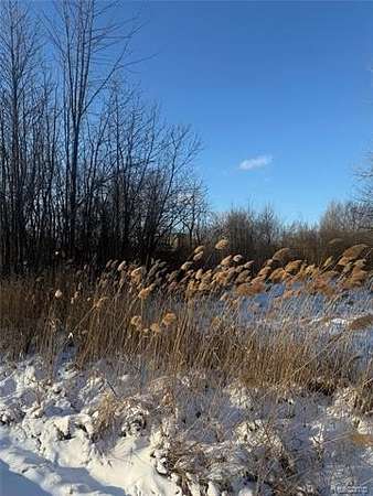 0.1 Acres of Residential Land for Sale in Clinton Charter Township, Michigan