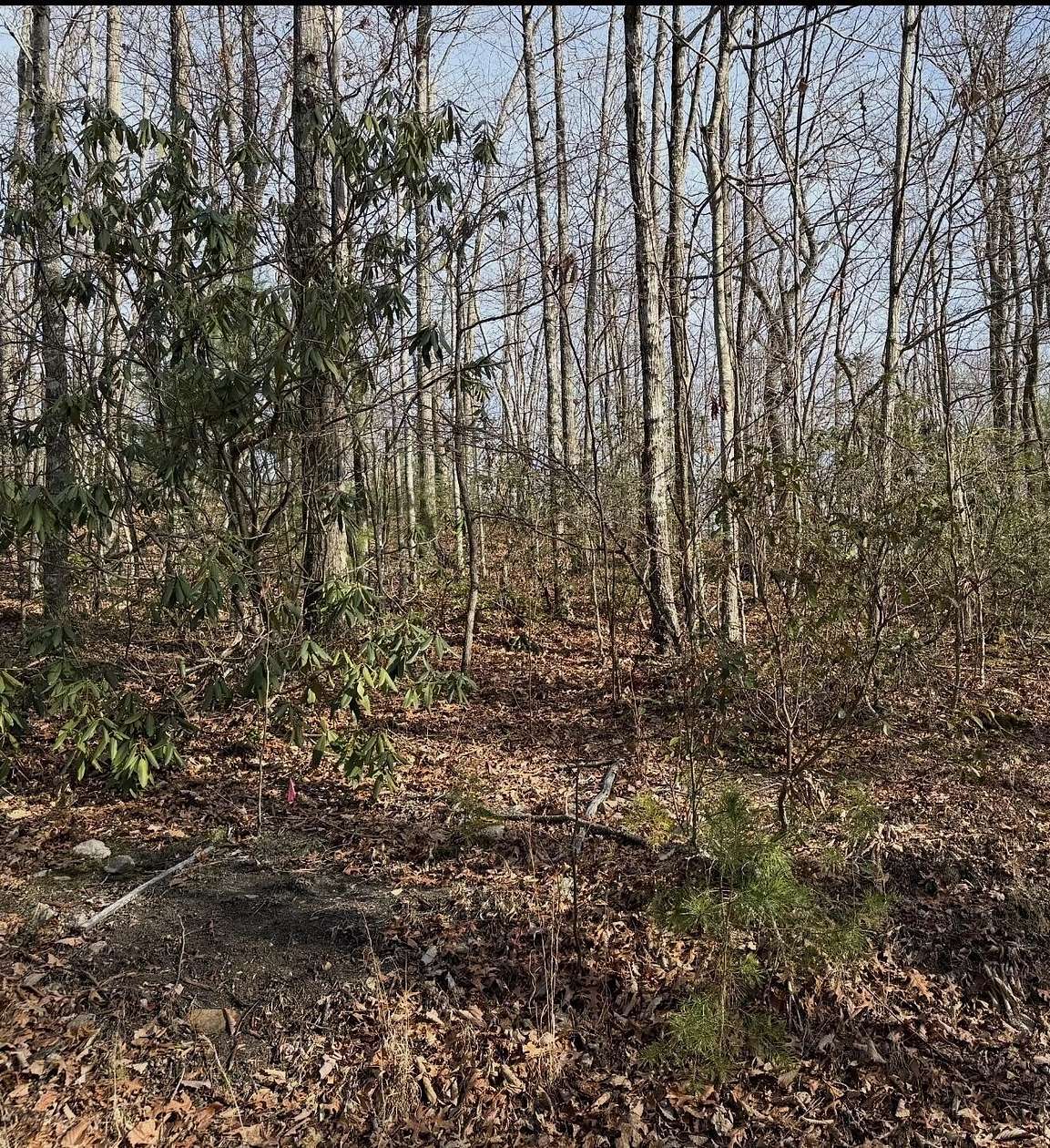 0.26 Acres of Residential Land for Sale in Sevierville, Tennessee