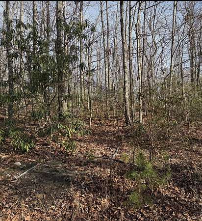 0.26 Acres of Residential Land for Sale in Sevierville, Tennessee