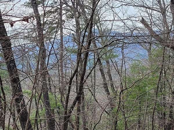 3.74 Acres of Residential Land for Sale in Hayesville, North Carolina