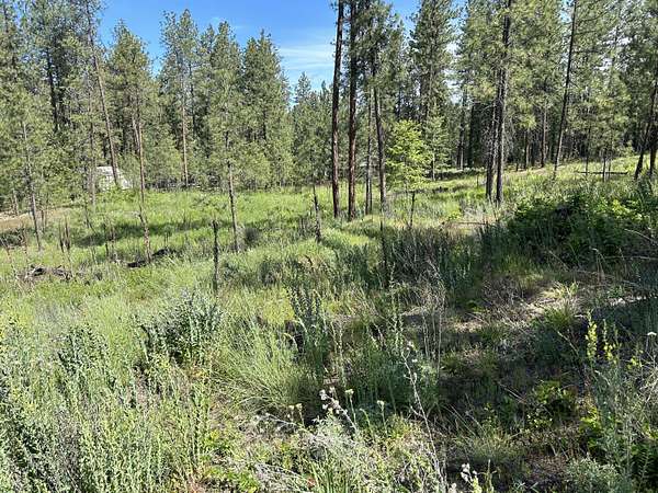 1.88 Acres of Residential Land for Sale in Kettle Falls, Washington