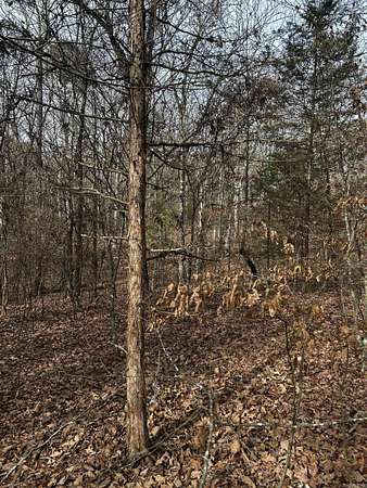 8.22 Acres of Residential Land for Sale in Oden, Arkansas