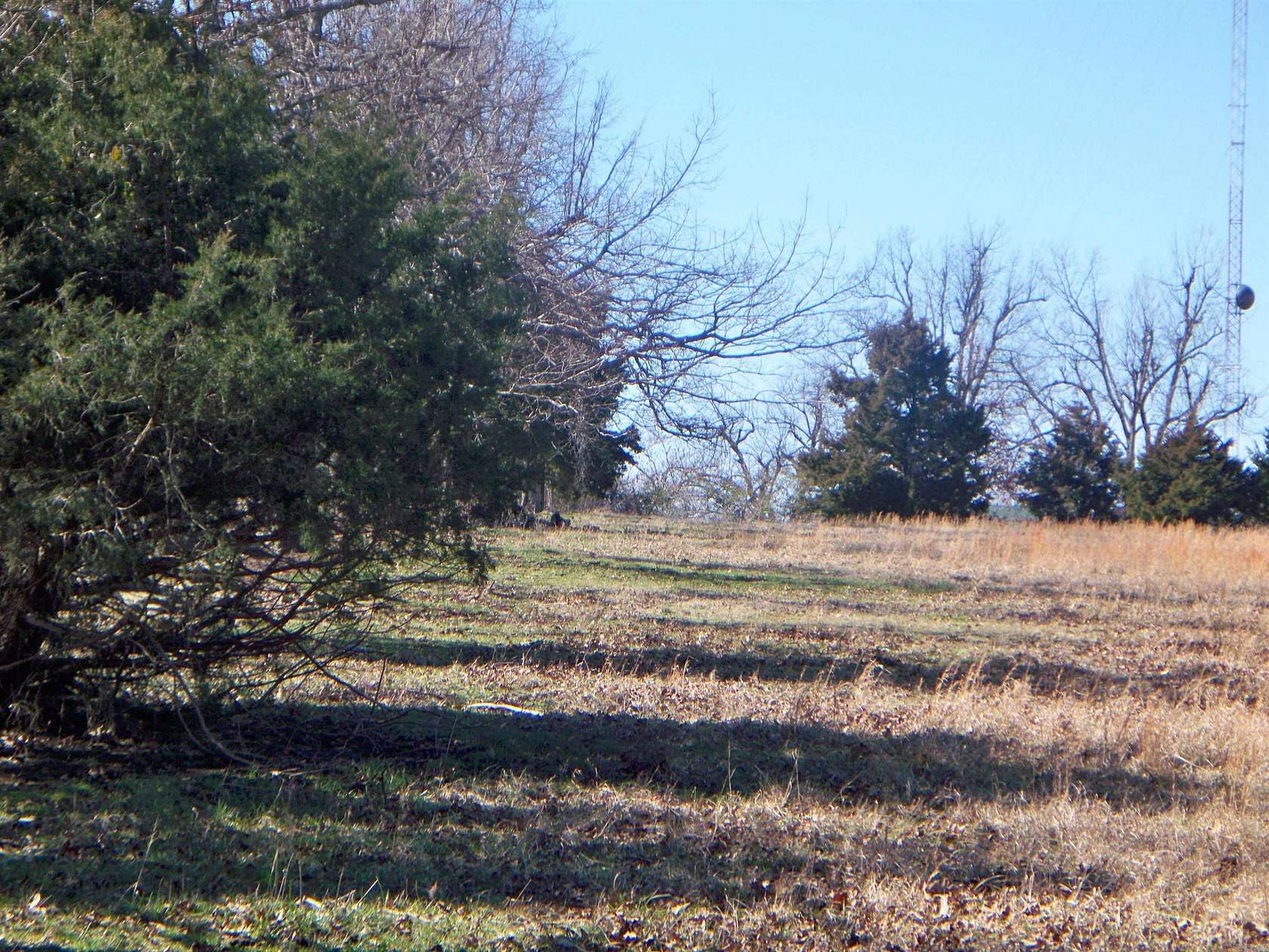 11.3 Acres of Land for Sale in Bradford, Arkansas