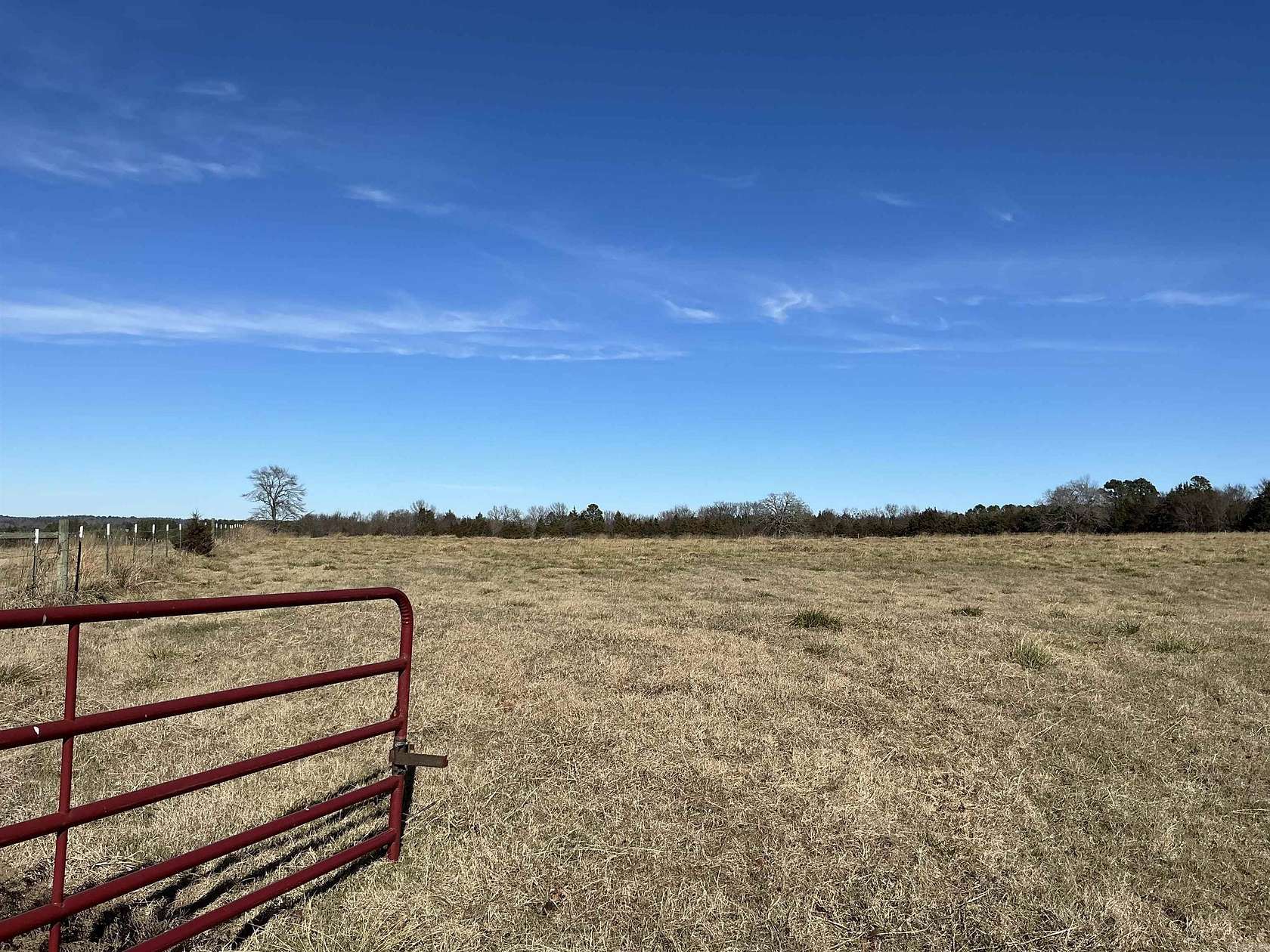 20 Acres of Land for Sale in Greenbrier, Arkansas