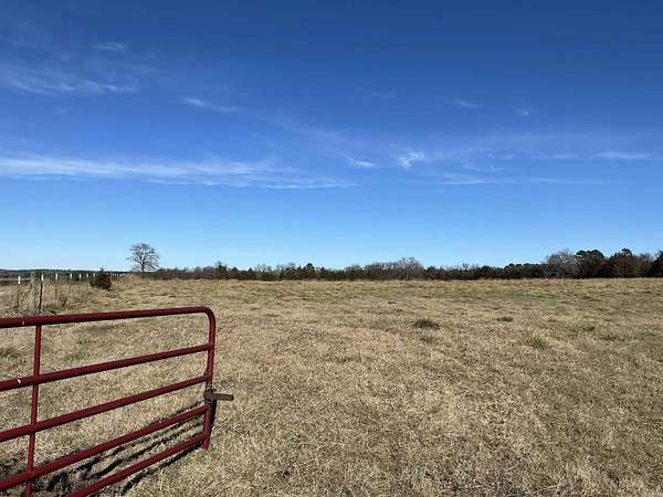 20 Acres of Land for Sale in Greenbrier, Arkansas