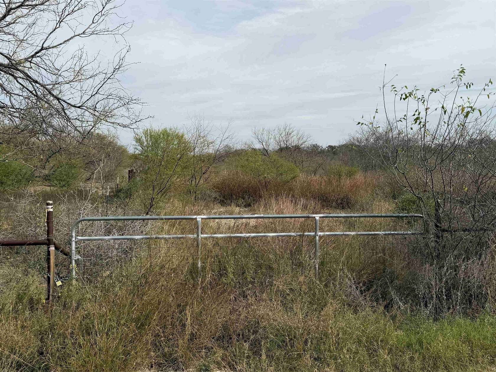 66 Acres of Recreational Land for Sale in Del Rio, Texas