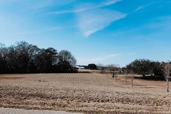 1.65 Acres of Residential Land for Sale in Carriere, Mississippi