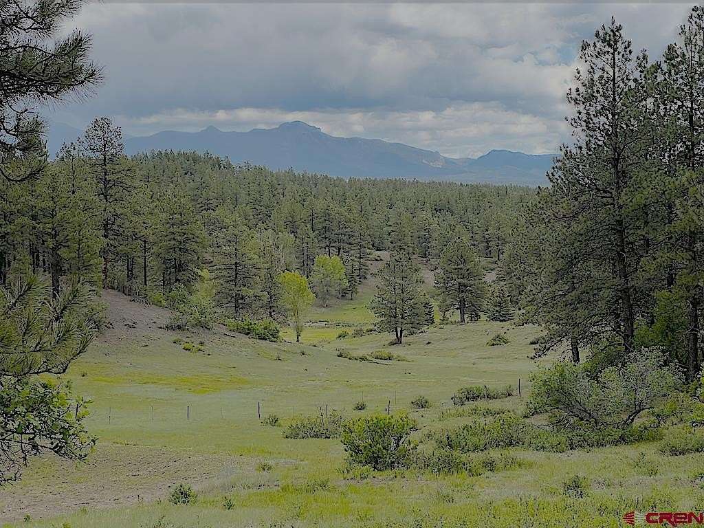 48.5 Acres of Land for Sale in Pagosa Springs, Colorado