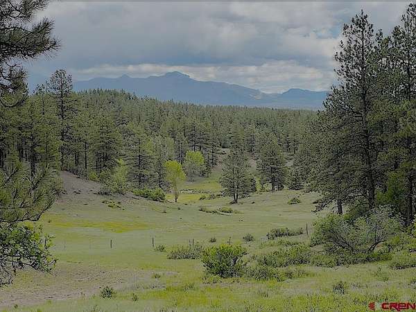 48.5 Acres of Land for Sale in Pagosa Springs, Colorado