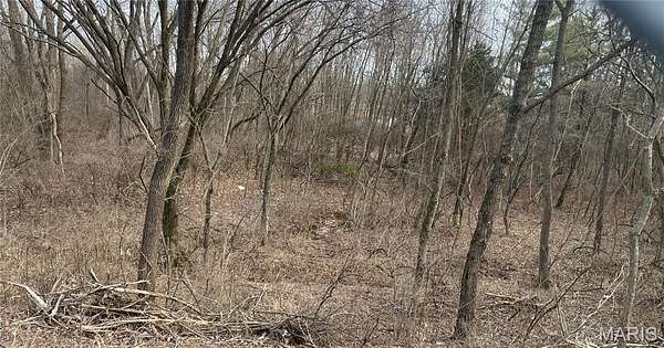 Residential Land for Sale in St. Louis, Missouri