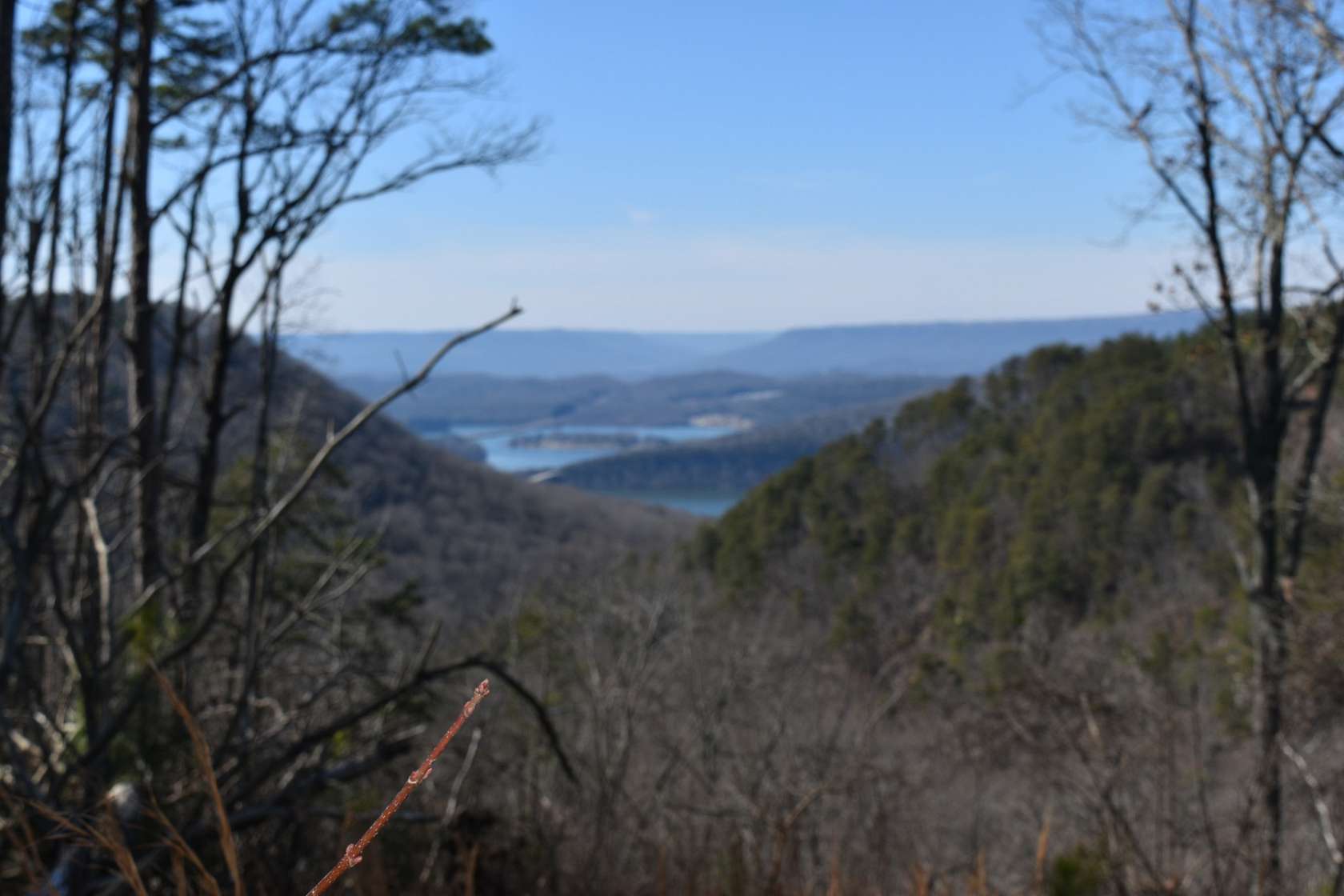 1.42 Acres of Residential Land for Sale in Haletown, Tennessee