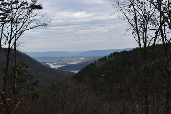 1.42 Acres of Residential Land for Sale in Haletown, Tennessee