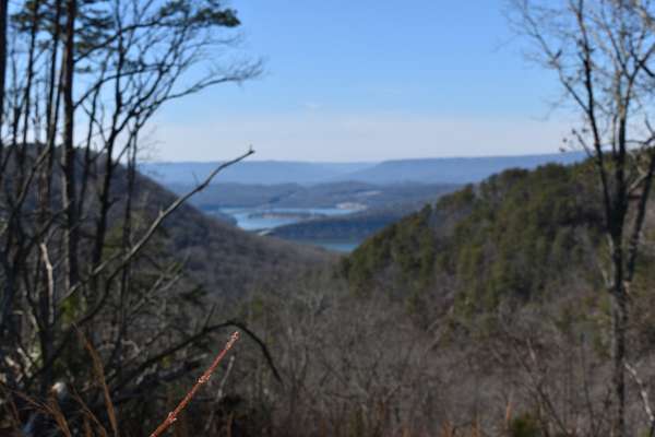 1.42 Acres of Residential Land for Sale in Haletown, Tennessee