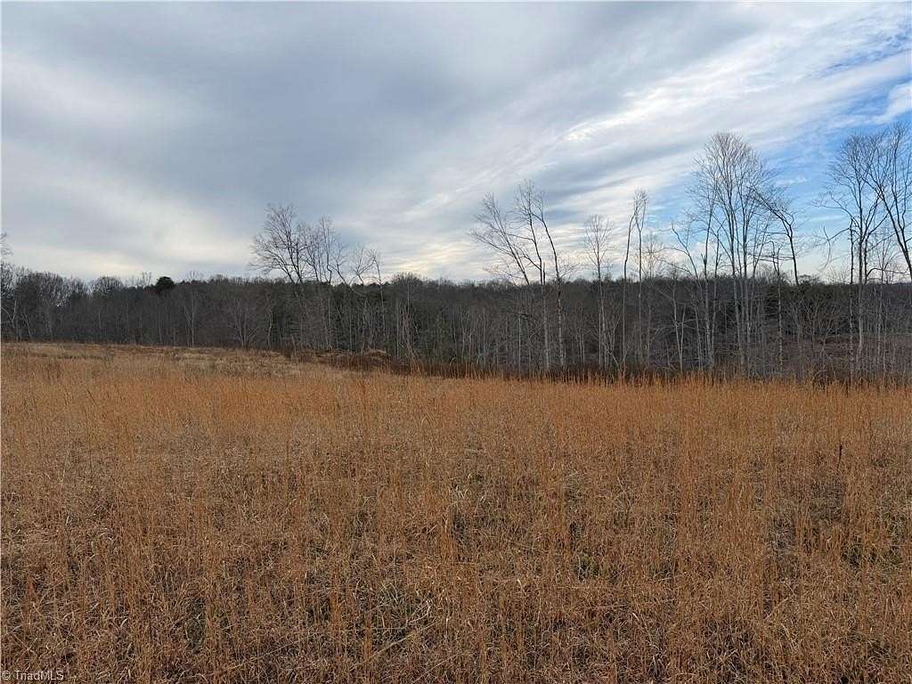 19.3 Acres of Land for Sale in Pinnacle, North Carolina