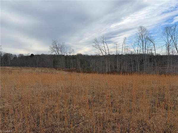 19.3 Acres of Land for Sale in Pinnacle, North Carolina