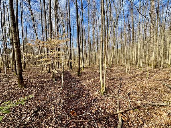 29 Acres of Land for Sale in Lutts, Tennessee