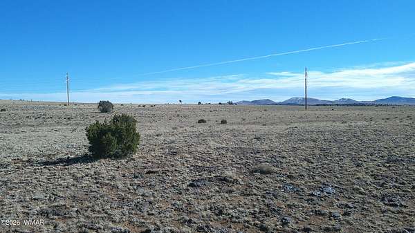 39.6 Acres of Land for Sale in Concho, Arizona