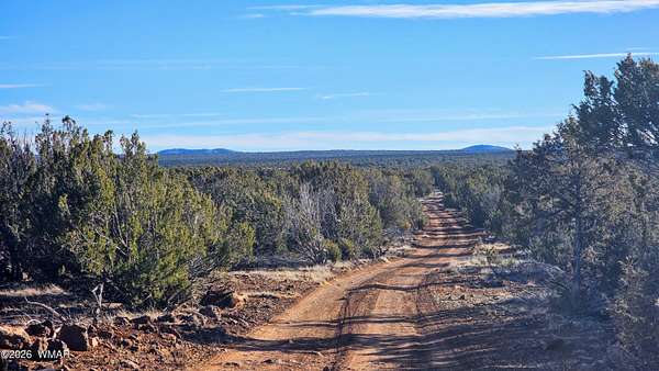 40.4 Acres of Recreational Land for Sale in Show Low, Arizona