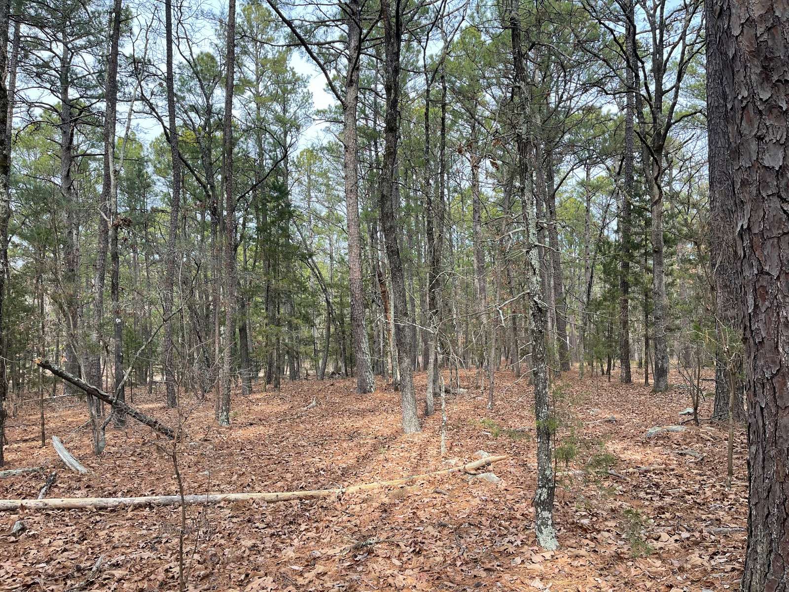 5 Acres of Residential Land for Sale in Moyers, Oklahoma