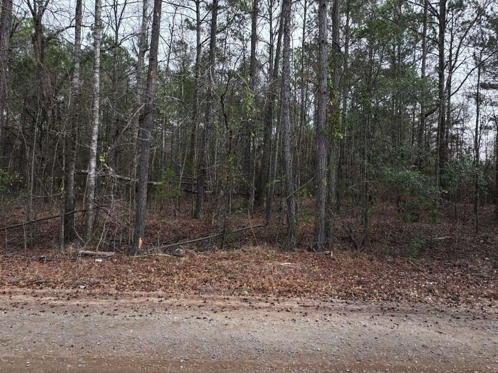 2 Acres of Residential Land for Sale in Hamilton, Georgia