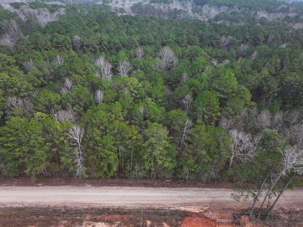 2 Acres of Residential Land for Sale in Hamilton, Georgia