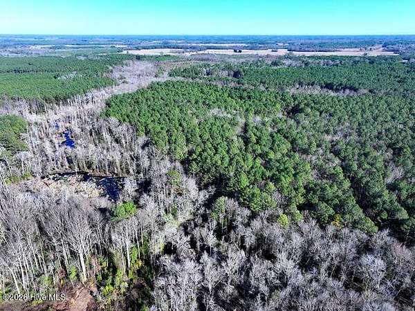 19.6 Acres of Land for Sale in Fairmont, North Carolina
