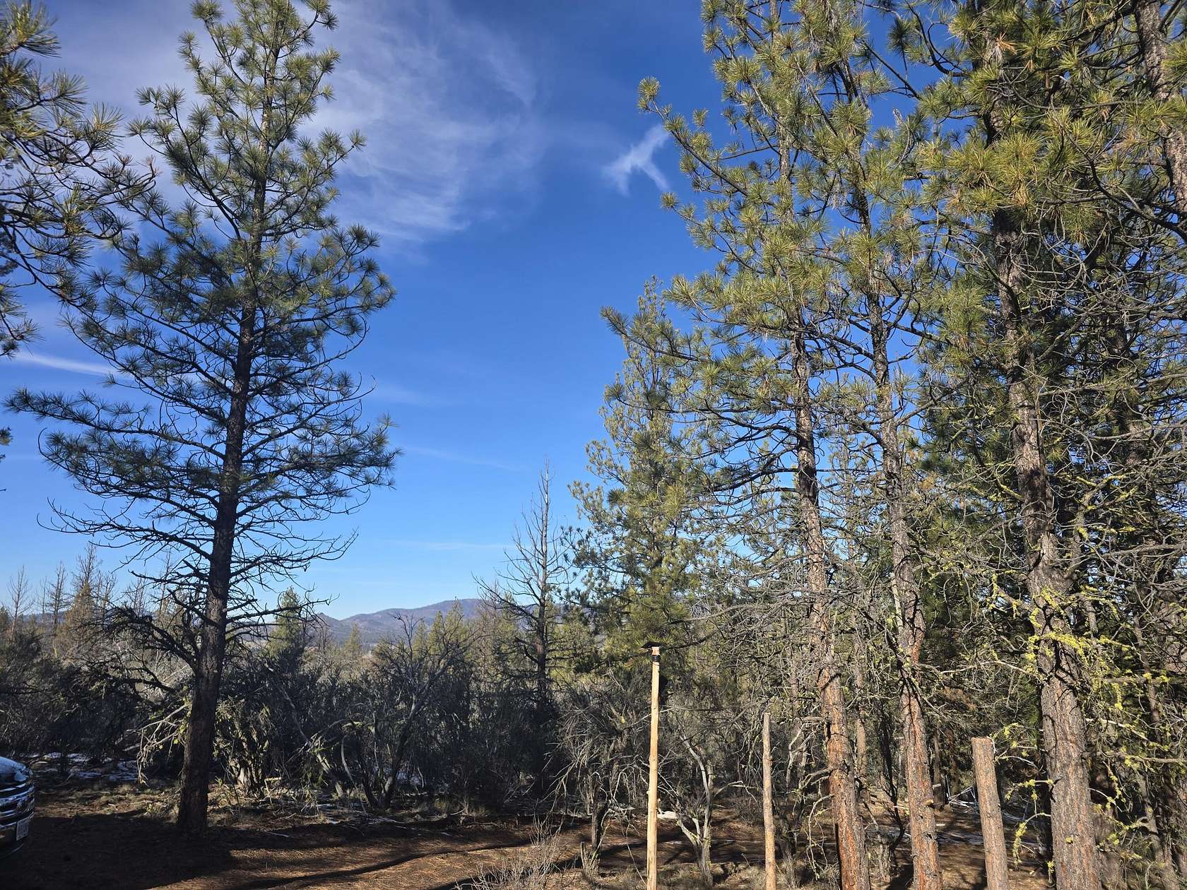 1.5 Acres of Residential Land for Sale in Beatty, Oregon