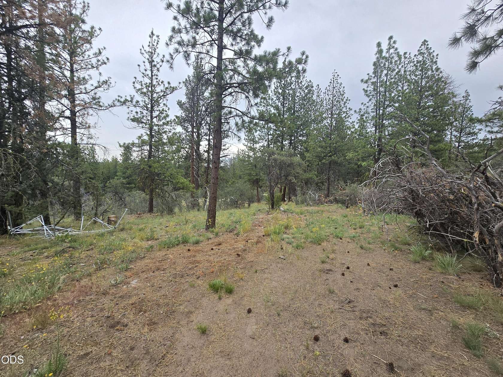 1.5 Acres of Residential Land for Sale in Beatty, Oregon