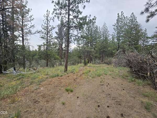 1.5 Acres of Residential Land for Sale in Beatty, Oregon